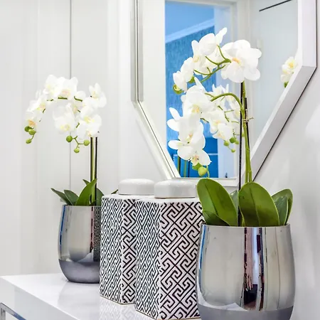 Whome Chic Escape: Your Stylish Haven In Downtown