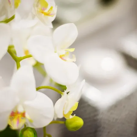 Whome Chic Escape: Your Stylish Haven In Downtown * 리스본